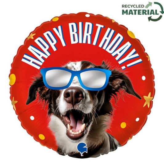 18 Inch Cool Doggy Birthday Round Foil Balloon GB78230P