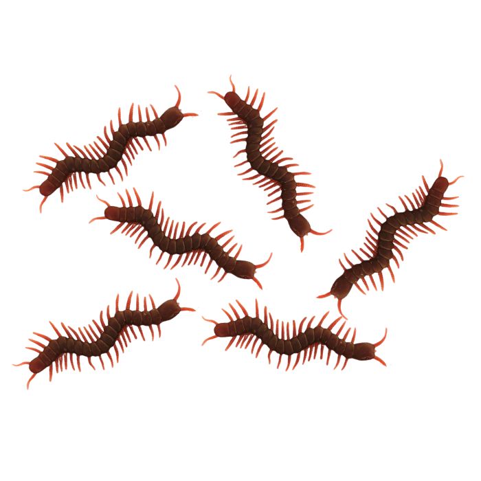 Fake Centipedes (12pcs)