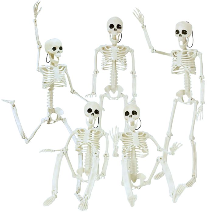 Halloween 38cm Skeleton