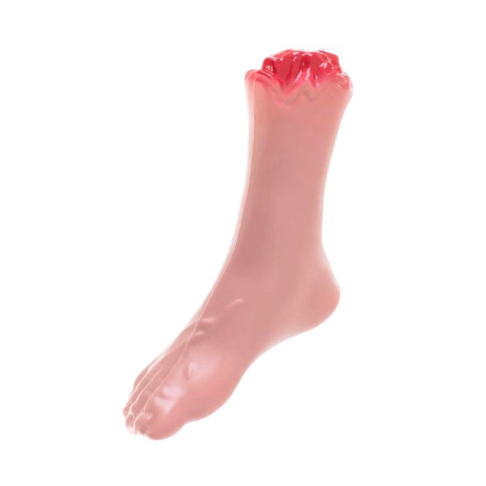 Halloween Decapitated Limbs