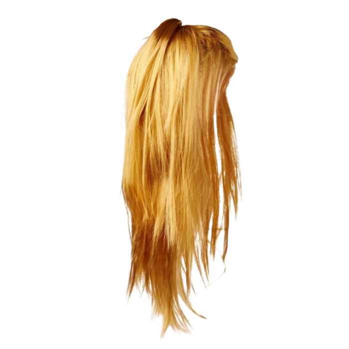 Long Hair Wig (assorted)