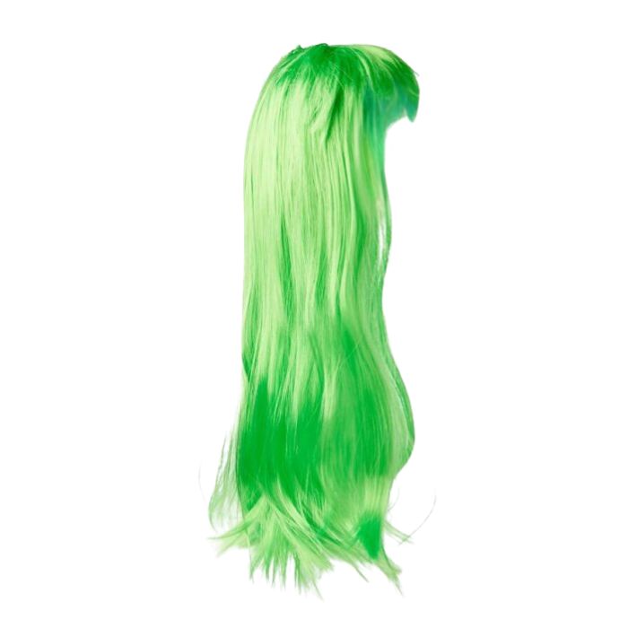 Long Hair Wig (assorted)