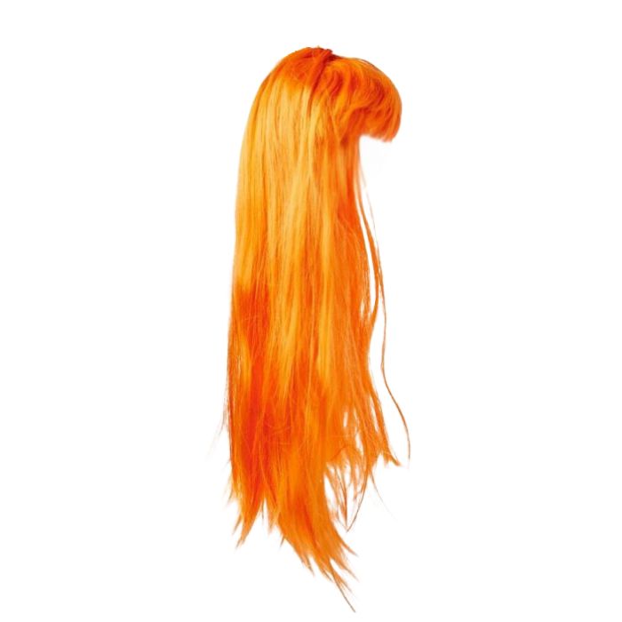 Long Hair Wig (assorted)
