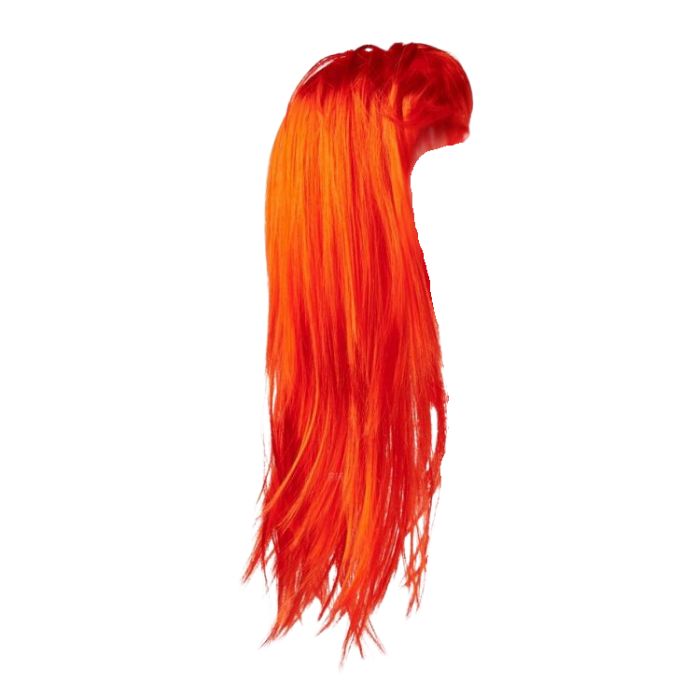 Long Hair Wig (assorted)