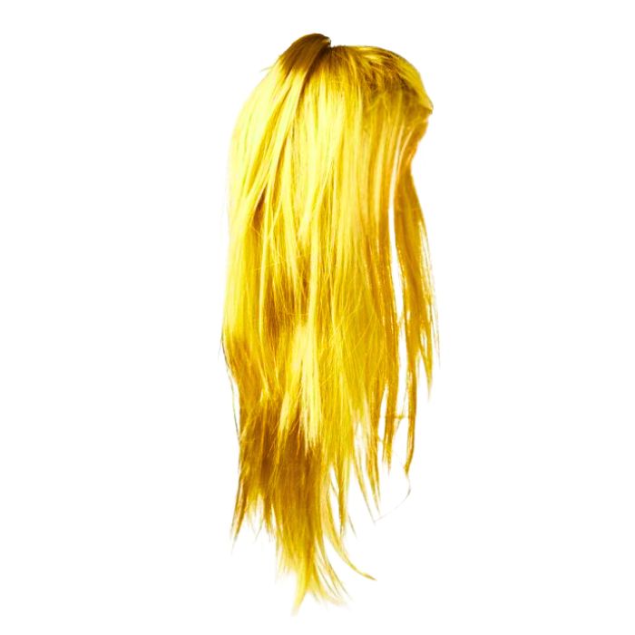 Long Hair Wig (assorted)
