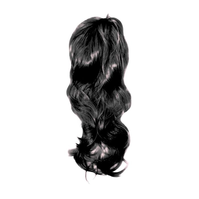 Long Hair Wig (assorted)
