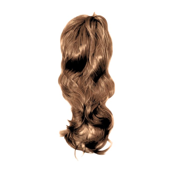 Long Hair Wig (assorted)