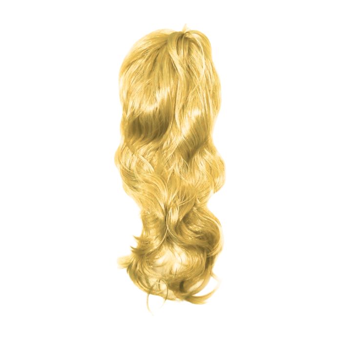 Long Hair Wig (assorted)
