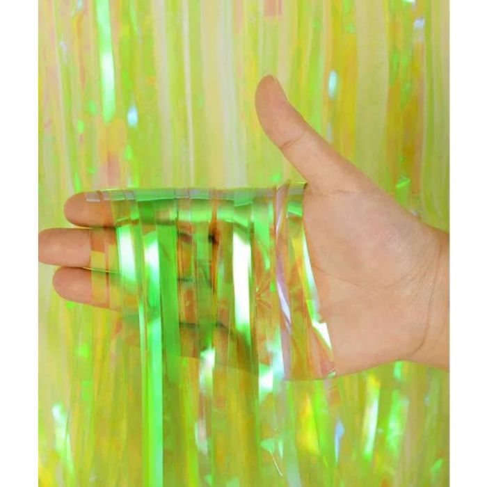 Iridescent Rainbow Tassel Fringe Party Backdrop