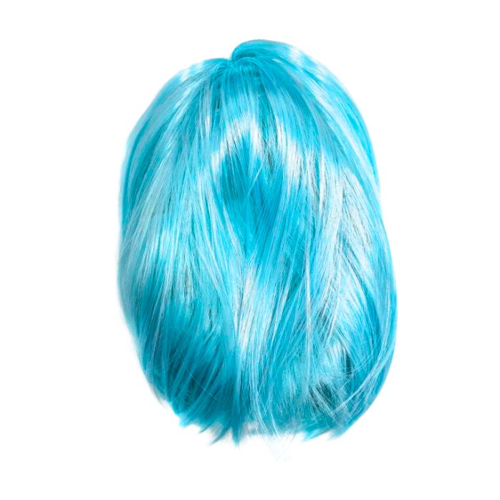 Short Hair Wig (assorted)