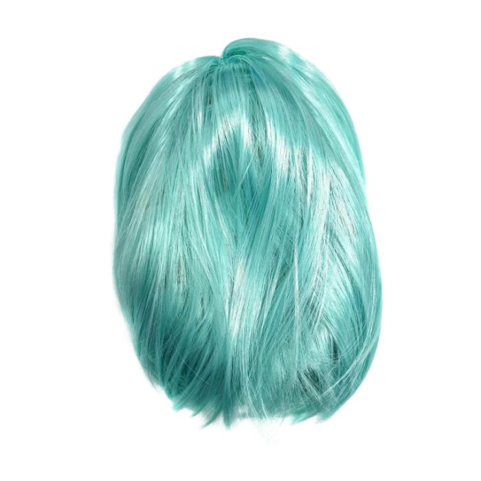Short Hair Wig (assorted)