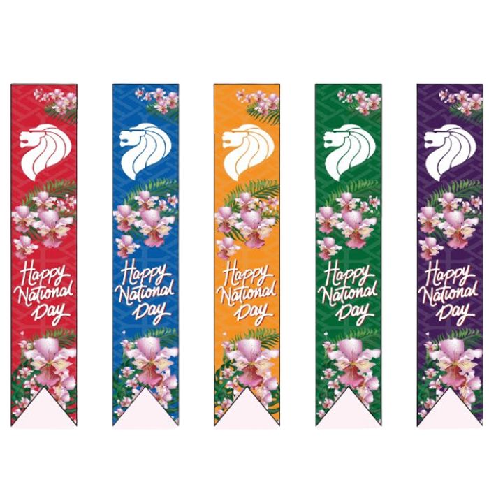 VB 15L Singapore Bannerettes (56cm x 300cm)
