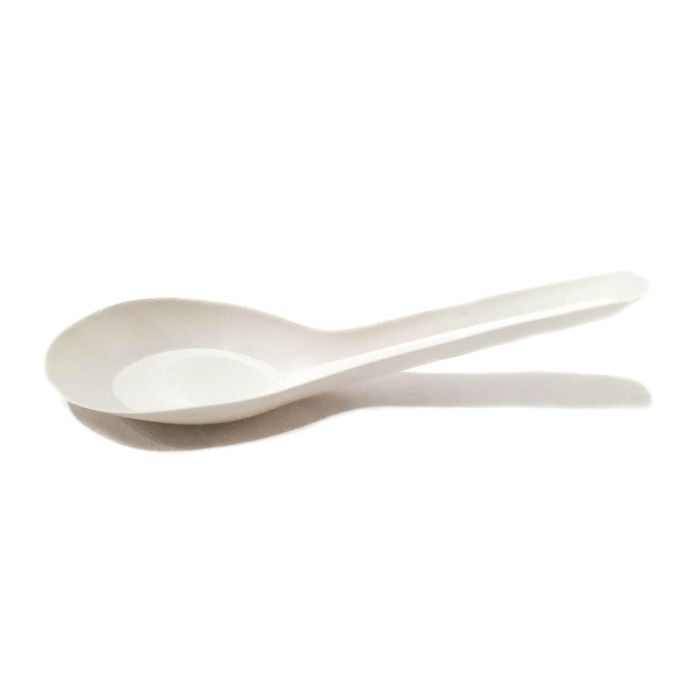 Plastic Chinese Spoon