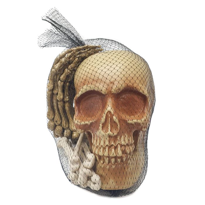 Skeleton Skull and Hand Props Set
