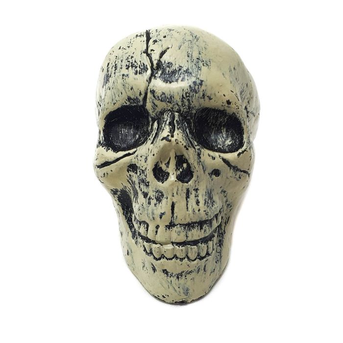 12cm Skull Decoration Props Set (6pc)