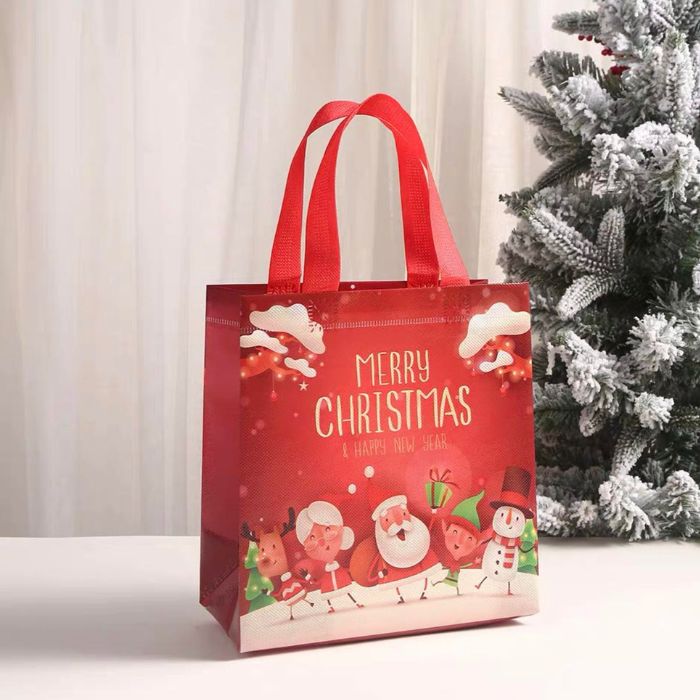 23x22x11cm Non-woven Bag (Christmas) 12pcs