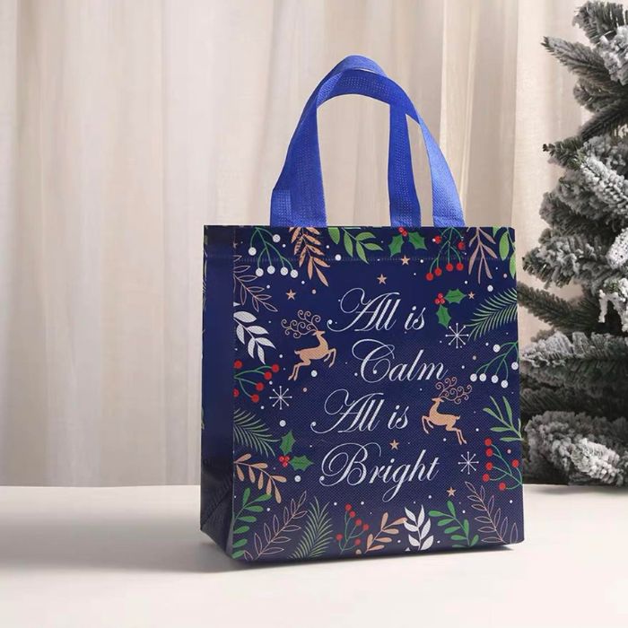 23x22x11cm Non-woven Bag (Christmas) 12pcs