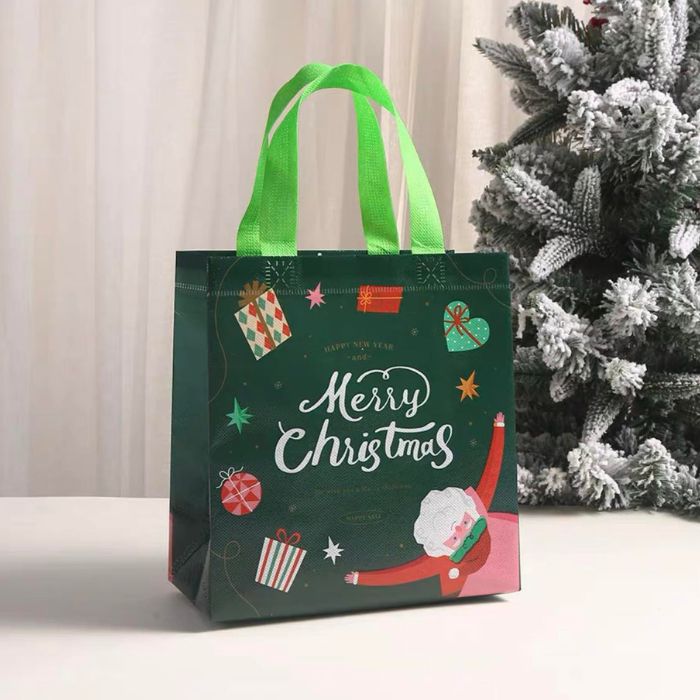 23x22x11cm Non-woven Bag (Christmas) 12pcs