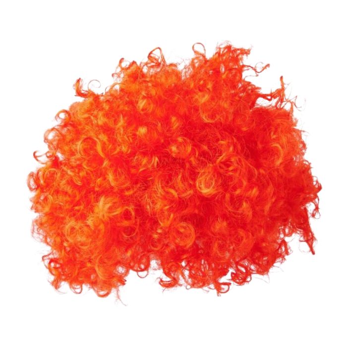 Afro Hair Wig (assorted)