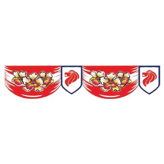 C20F Singapore Bunting (83cm x 2metres)