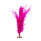 Feather Chapteh