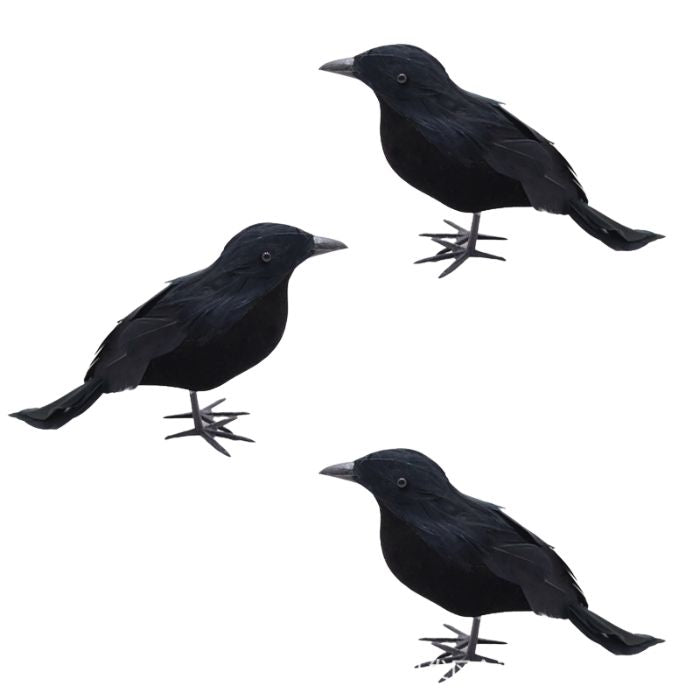 Realistic Black Crow Prop