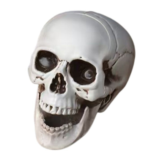 Halloween 10x11cm Moving Jaw Skull (Small)