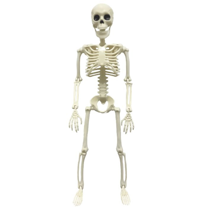 Halloween 38cm Skeleton