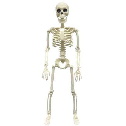 Halloween 38cm Skeleton
