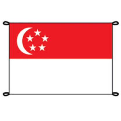 Singapore Flag