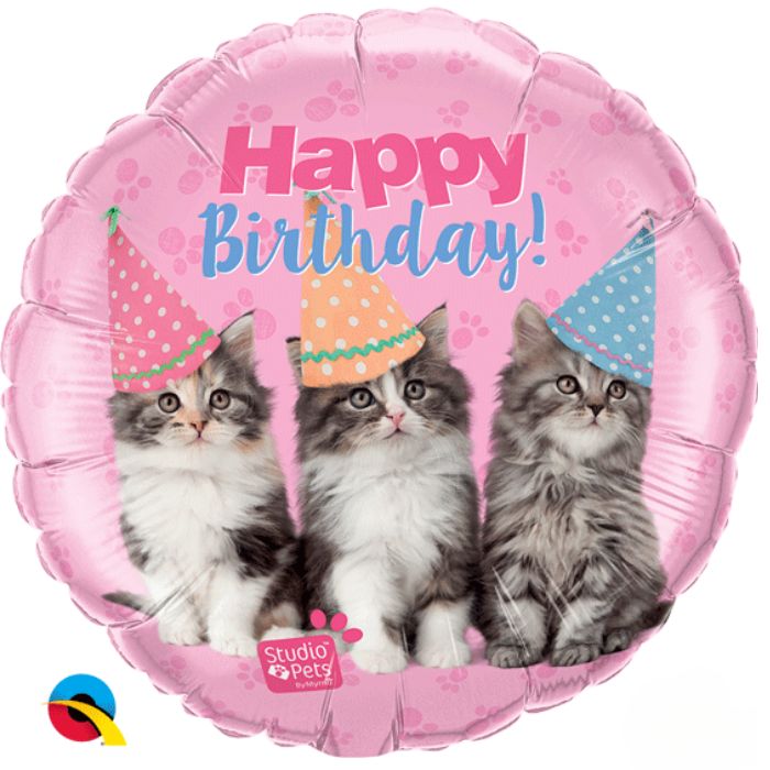 18 Inch Birthday Kittens Round Foil Balloon Q57623