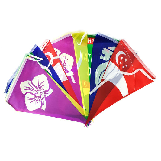 Singapore Triangle Flag Bunting (Multi)