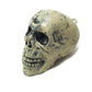 12cm Skull Decoration Props Set (6pc)