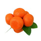 CNY 6pcs Mini Mandarin Orange Branch