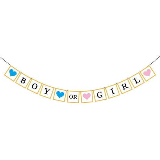 Boy or Girl Glitter Banner JQ90251