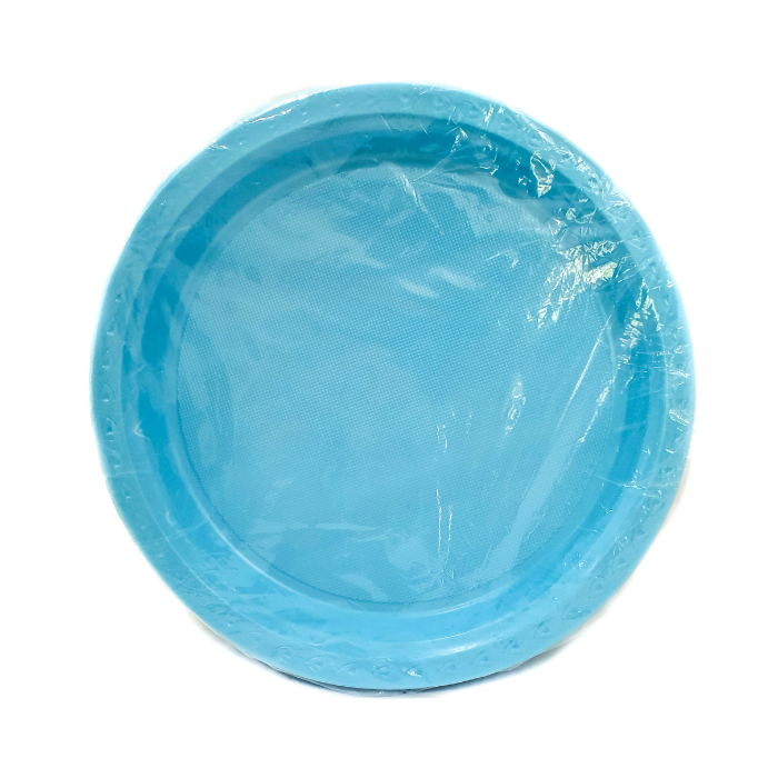 10Inch Plastic Plates (Baby Blue)