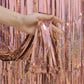 Hologram Tassel Fringe Party Backdrop