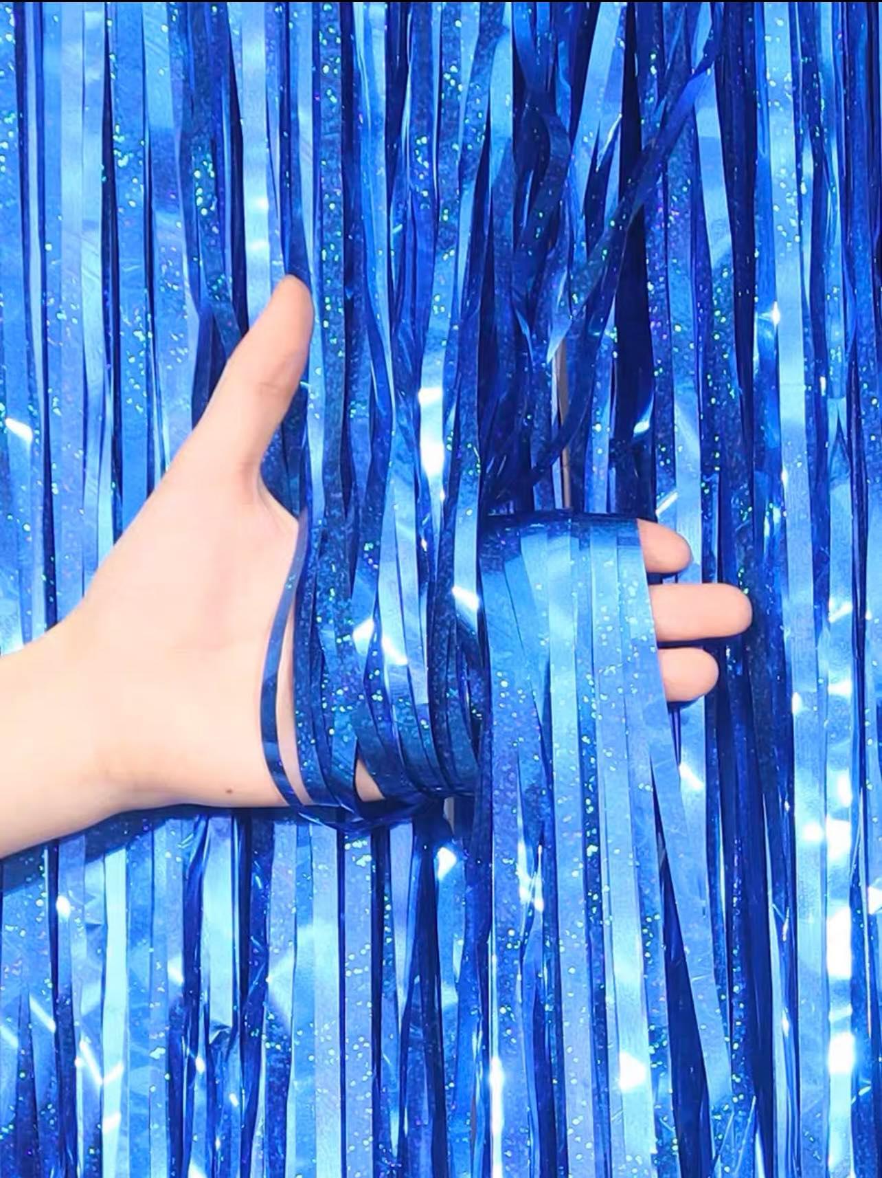 Hologram Tassel Fringe Party Backdrop