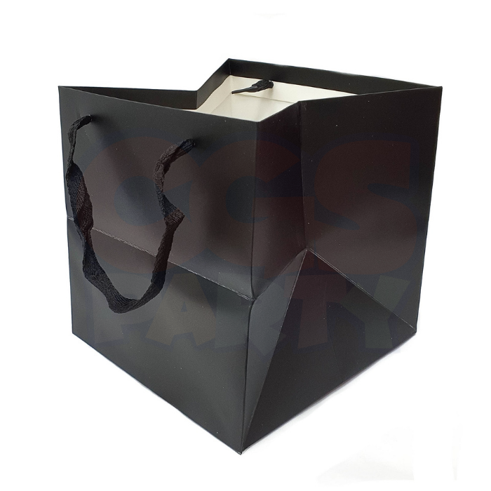 Square Paper Bags – cgsparty